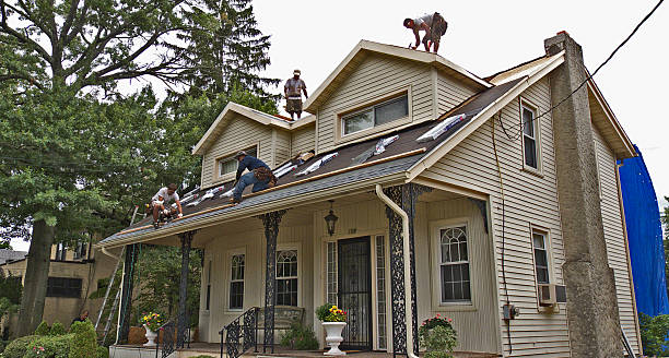 Professional Roofing Contractor in Riverside, UT